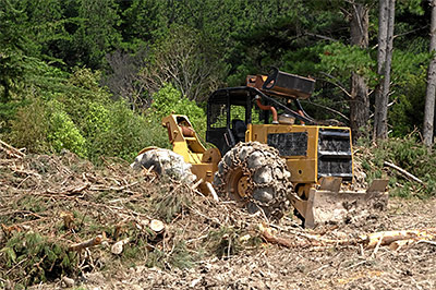 Site Clearing Bloomington, IN