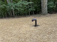 Septic